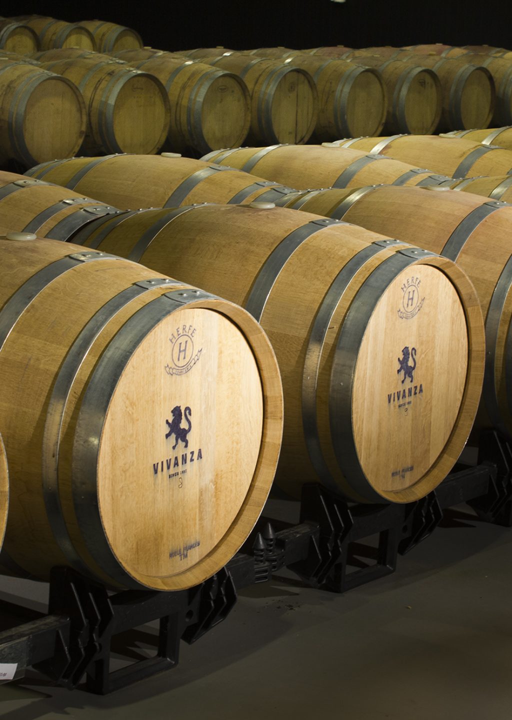 Bocetohorizontalcolor